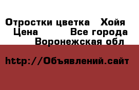 Отростки цветка  “Хойя“ › Цена ­ 300 - Все города  »    . Воронежская обл.